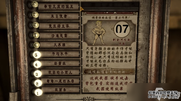 辐射新维加斯开局加点