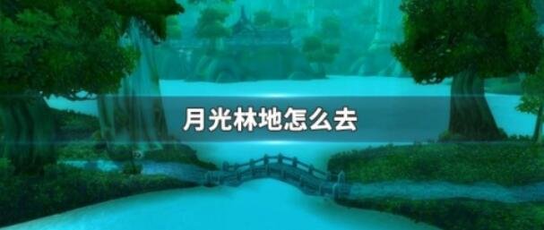 月光林地怎么去