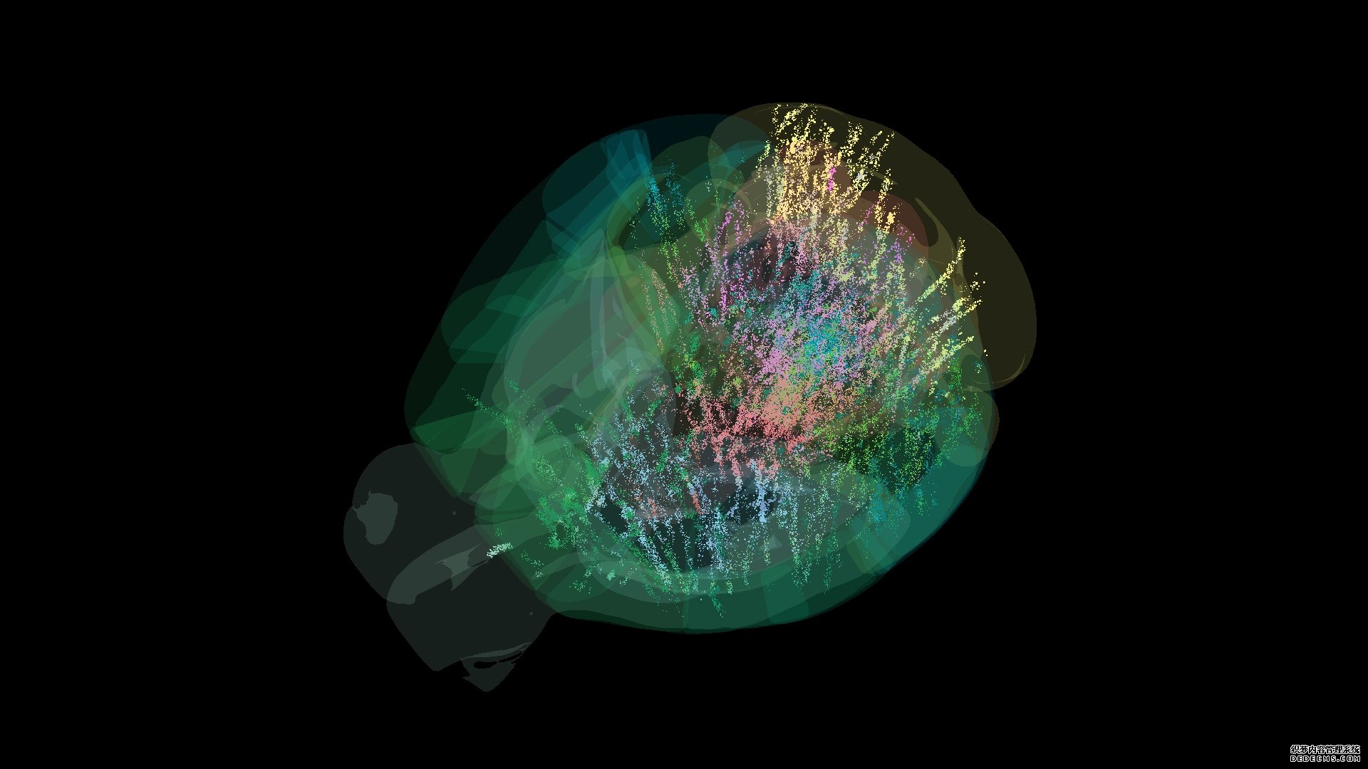 A colored diagram of different neurons in the mouse brain