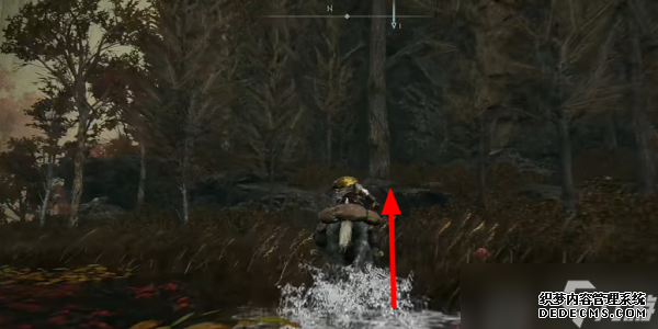 艾尔登法环黄金树之影神鸟战士奥尼斯怎么收集