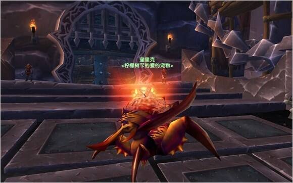 魔兽世界猎人宝宝图鉴大全 全宠物图文介绍