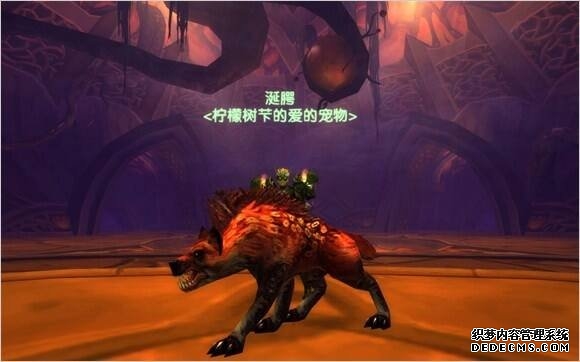 魔兽世界猎人宝宝图鉴大全 全宠物图文介绍