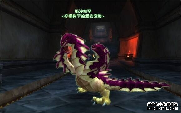 魔兽世界猎人宝宝图鉴大全 全宠物图文介绍