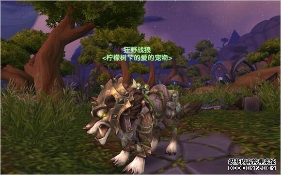 魔兽世界猎人宝宝图鉴大全 全宠物图文介绍