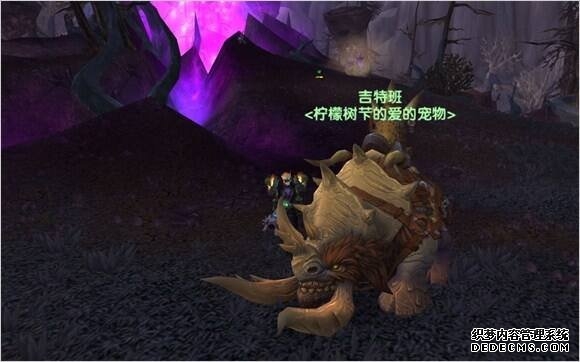 魔兽世界猎人宝宝图鉴大全 全宠物图文介绍